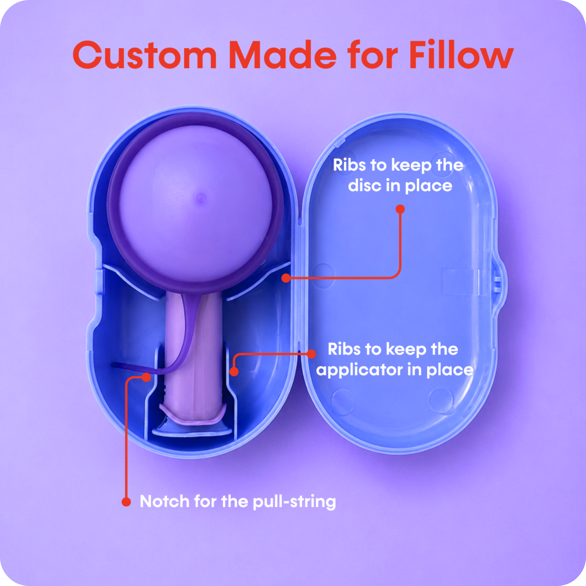 Fillow Carrying Case