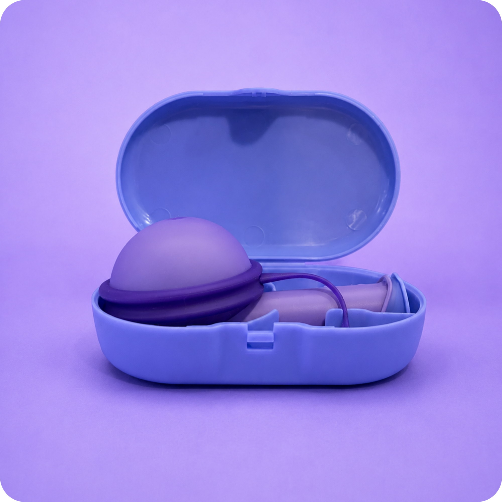 Fillow Carrying Case