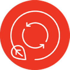 Disc & Applicator – Fillow